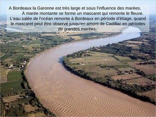 A Bordeaux la Garonne est très large et sous l'influence des marées.
À marée montante se forme un mascaret qui remonte le fleuve.
L'eau salée de l'océan remonte à Bordeaux en période d'étiage, quand
le mascaret peut être observé jusqu'en amont de Cadillac en périodes
de grandes marées.
 