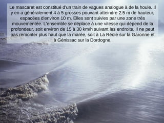 Le mascaret est constitué d'un train de vagues analogue à de la houle. Il
y en a généralement 4 à 5 grosses pouvant atteindre 2.5 m de hauteur,
espacées d'environ 10 m. Elles sont suivies par une zone très
mouvementée. L'ensemble se déplace à une vitesse qui dépend de la
profondeur, soit environ de 15 à 30 km/h suivant les endroits. Il ne peut
pas remonter plus haut que la marée, soit à La Réole sur la Garonne et
à Génissac sur la Dordogne.
 
