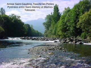Arrose Saint-Gaudens, franchit les Petites
Pyrénées entre Saint-Martory et Martres-
Tolosane.
 