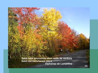 ML Salut bois couronnés d’un reste de verdure Salut derniers beaux jours      Alphonse de Lamartine 