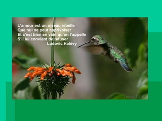 L’amour est un oiseau rebelle Que nul ne peut apprivoiser Et c’est bien en vain qu’on l’appelle S’il lui convient de refuser Ludovic Halévy 
