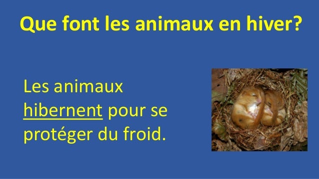 Au Fil Des Saisons