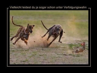 verteilt durch  www.funmail2u.de   Vielleicht leidest du ja sogar schon unter Verfolgungswahn 