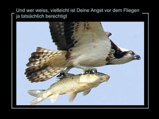 Und wer weiss, vielleicht ist Deine Angst vor dem Fliegen ja tatsächlich berechtigt 