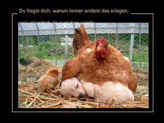 Du fragst dich, warum immer andere das kriegen,  was eigentlich dir zustehen würde 