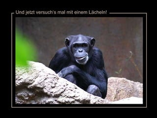 Und jetzt versuch‘s mal mit einem Lächeln! 