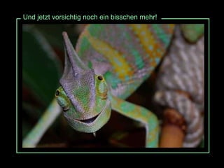 Und jetzt vorsichtig noch ein bisschen mehr! 