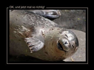 OK, und jetzt mal so richtig! 