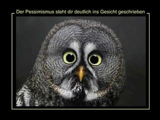 Der Pessimismus steht dir deutlich ins Gesicht geschrieben 