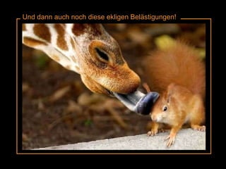 Und dann auch noch diese ekligen Belästigungen! 