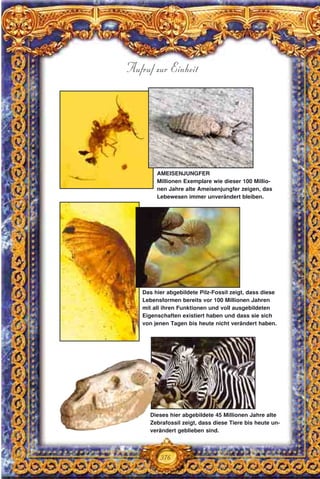 Aufruf zur Einheit
AMEISENJUNGFER
Millionen Exemplare wie dieser 100 Millio-
nen Jahre alte Ameisenjungfer zeigen, das
Lebewesen immer unverändert bleiben.
Das hier abgebildete Pilz-Fossil zeigt, dass diese
Lebensformen bereits vor 100 Millionen Jahren
mit all ihren Funktionen und voll ausgebildeten
Eigenschaften existiert haben und dass sie sich
von jenen Tagen bis heute nicht verändert haben.
Dieses hier abgebildete 45 Millionen Jahre alte
Zebrafossil zeigt, dass diese Tiere bis heute un-
verändert geblieben sind.
376
 