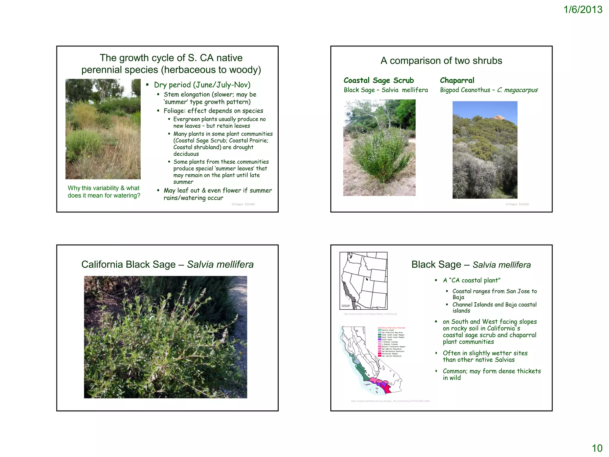 1/6/2013



         The growth cycle of S. CA native                                                                   A comparison of two shrubs
     perennial species (herbaceous to woody)
                                                                             Coastal Sage Scrub                                                             Chaparral
                               Dry period (June/July-Nov)
                                                                             Black Sage – Salvia mellifera                                                  Bigpod Ceanothus – C. megacarpus
                                 Stem elongation (slower; may be
                                  ‘summer’ type growth pattern)
                                 Foliage: effect depends on species
                                    Evergreen plants usually produce no
                                     new leaves – but retain leaves
                                    Many plants in some plant communities
                                     (Coastal Sage Scrub; Coastal Prairie;
                                     Coastal shrubland) are drought
                                     deciduous
                                    Some plants from these communities
                                     produce special ‘summer leaves’ that
                                     may remain on the plant until late
                                     summer
Why this variability & what      May leaf out & even flower if summer
does it mean for watering?        rains/watering occur
                                                          © Project SOUND                                                                                                           © Project SOUND




     California Black Sage – Salvia mellifera                                                                                          Black Sage – Salvia mellifera
                                                                                                                                                            A “CA coastal plant”
                                                                                                                                                               Coastal ranges from San Jose to
                                                                                                                                                                Baja
                                                                                                                                                               Channel Islands and Baja coastal
                                                                             http://www.swsbm.com/Maps/Salvia_mellifera.gif
                                                                                                                                                                islands

                                                                                                                                                            on South and West facing slopes
                                                                                                                                                             on rocky soil in California's
                                                                                                                                                             coastal sage scrub and chaparral
                                                                                                                                                             plant communities
                                                                                                                                                            Often in slightly wetter sites
                                                                                                                                                             than other native Salvias
                                                                                                                                                            Common; may form dense thickets
                                                                                                                                                             in wild


                                                                                   http://ucjeps.berkeley.edu/cgi-bin/get_JM_treatment.pl?4745,4865,4880




                                                                                                                                                                                                           10
 