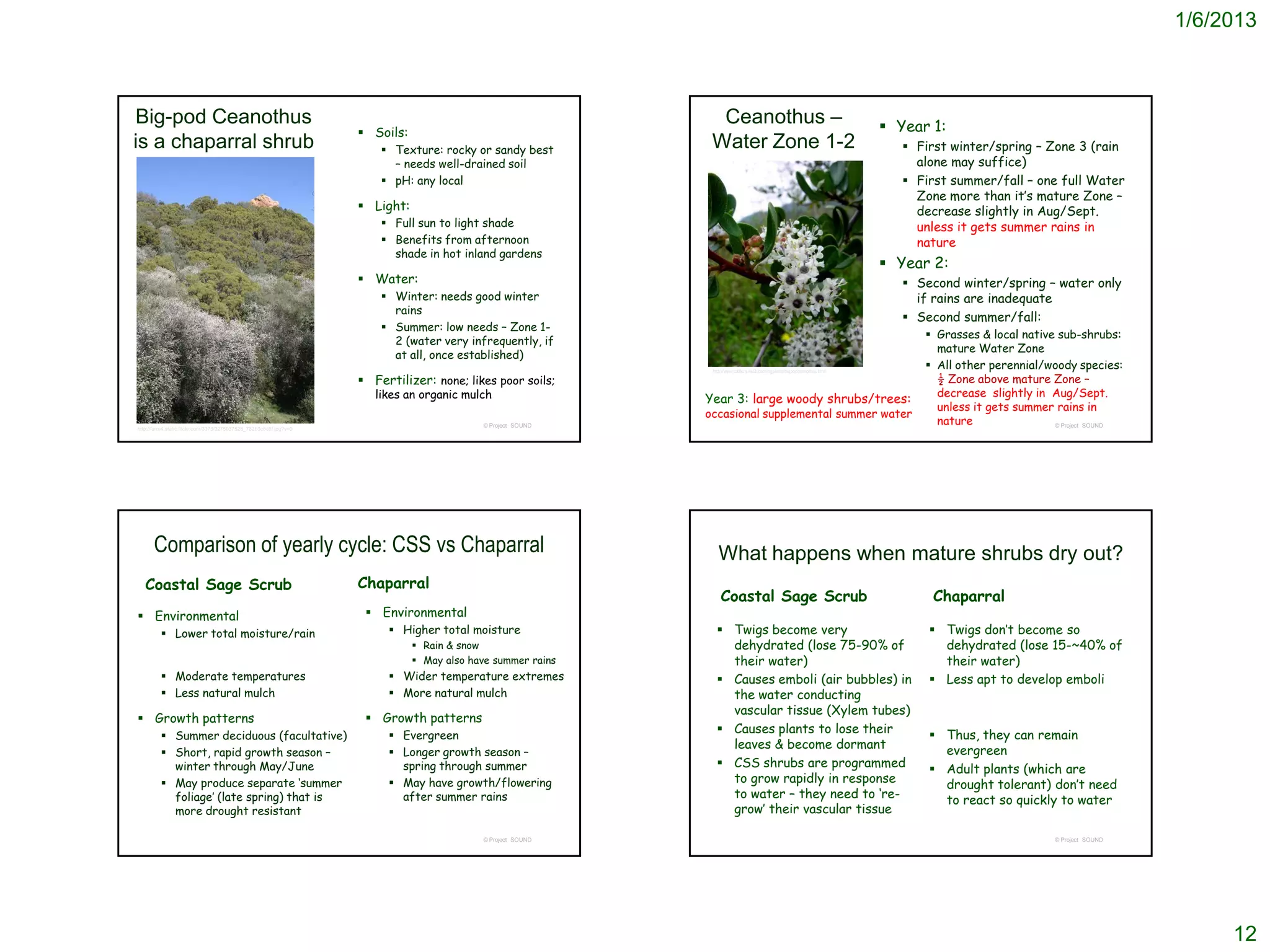 1/6/2013



Big-pod Ceanothus                                                                                               Ceanothus –                                                   Year 1:
                                                                     Soils:
is a chaparral shrub                                                     Texture: rocky or sandy best         Water Zone 1-2                                                    First winter/spring – Zone 3 (rain
                                                                          – needs well-drained soil                                                                               alone may suffice)
                                                                         pH: any local                                                                                          First summer/fall – one full Water
                                                                                                                                                                                  Zone more than it’s mature Zone –
                                                                     Light:                                                                                                      decrease slightly in Aug/Sept.
                                                                         Full sun to light shade                                                                                 unless it gets summer rains in
                                                                         Benefits from afternoon                                                                                 nature
                                                                          shade in hot inland gardens
                                                                                                                                                                              Year 2:
                                                                     Water:                                                                                                     Second winter/spring – water only
                                                                         Winter: needs good winter                                                                               if rains are inadequate
                                                                          rains
                                                                                                                                                                                 Second summer/fall:
                                                                         Summer: low needs – Zone 1-
                                                                                                                                                                                    Grasses & local native sub-shrubs:
                                                                          2 (water very infrequently, if
                                                                                                                                                                                     mature Water Zone
                                                                          at all, once established)
                                                                                                               http://www.calflora.net/bloomingplants/bigpodceanothus.html
                                                                                                                                                                                    All other perennial/woody species:
                                                                     Fertilizer: none; likes poor soils;                                                                            ½ Zone above mature Zone –
                                                                       likes an organic mulch                                                                                        decrease slightly in Aug/Sept.
                                                                                                              Year 3: large woody shrubs/trees:
                                                                                                                                                                                     unless it gets summer rains in
                                                                                                              occasional supplemental summer water
                                                                                            © Project SOUND
                                                                                                                                                                                     nature                © Project SOUND
http://farm4.static.flickr.com/3373/3275037528_782b3c6c8f.jpg?v=0




      Comparison of yearly cycle: CSS vs Chaparral                                                               What happens when mature shrubs dry out?
   Coastal Sage Scrub                                               Chaparral
                                                                                                                   Coastal Sage Scrub                                               Chaparral
 Environmental                                                       Environmental
          Lower total moisture/rain                                      Higher total moisture                  Twigs become very                                                 Twigs don’t become so
                                                                                Rain & snow                       dehydrated (lose 75-90% of                                         dehydrated (lose 15-~40% of
                                                                                May also have summer rains        their water)                                                       their water)
          Moderate temperatures                                          Wider temperature extremes             Causes emboli (air bubbles) in                                    Less apt to develop emboli
          Less natural mulch                                             More natural mulch                      the water conducting
                                                                                                                   vascular tissue (Xylem tubes)
 Growth patterns                                                     Growth patterns
          Summer deciduous (facultative)                                 Evergreen
                                                                                                                  Causes plants to lose their                                       Thus, they can remain
                                                                                                                   leaves & become dormant                                            evergreen
          Short, rapid growth season –                                   Longer growth season –
           winter through May/June                                         spring through summer                  CSS shrubs are programmed                                         Adult plants (which are
          May produce separate ‘summer                                   May have growth/flowering               to grow rapidly in response                                        drought tolerant) don’t need
           foliage’ (late spring) that is                                  after summer rains                      to water – they need to ‘re-                                       to react so quickly to water
           more drought resistant                                                                                  grow’ their vascular tissue

                                                                                            © Project SOUND                                                                                                 © Project SOUND




                                                                                                                                                                                                                                   12
 