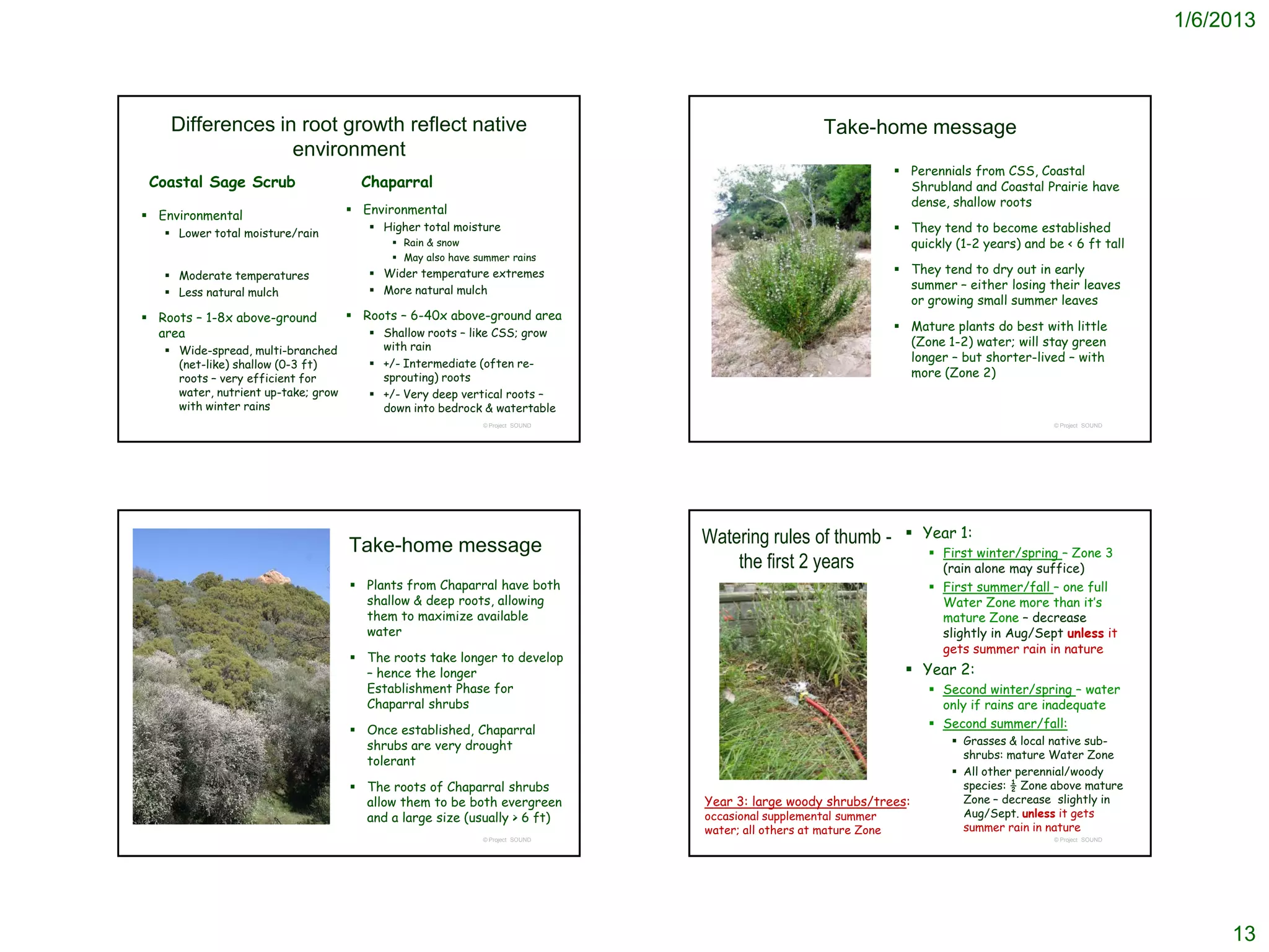 1/6/2013



    Differences in root growth reflect native                                                       Take-home message
                  environment
                                                                                                                   Perennials from CSS, Coastal
 Coastal Sage Scrub                    Chaparral                                                                    Shrubland and Coastal Prairie have
                                                                                                                    dense, shallow roots
 Environmental                       Environmental
    Lower total moisture/rain
                                         Higher total moisture                                                    They tend to become established
                                             Rain & snow                                                           quickly (1-2 years) and be < 6 ft tall
                                             May also have summer rains
    Moderate temperatures               Wider temperature extremes                                               They tend to dry out in early
                                         More natural mulch                                                        summer – either losing their leaves
    Less natural mulch
                                                                                                                    or growing small summer leaves
 Roots – 1-8x above-ground           Roots – 6-40x above-ground area
                                                                                                                   Mature plants do best with little
  area                                   Shallow roots – like CSS; grow
                                          with rain                                                                 (Zone 1-2) water; will stay green
    Wide-spread, multi-branched
                                         +/- Intermediate (often re-
                                                                                                                    longer – but shorter-lived – with
     (net-like) shallow (0-3 ft)
     roots – very efficient for           sprouting) roots                                                          more (Zone 2)
     water, nutrient up-take; grow       +/- Very deep vertical roots –
     with winter rains                    down into bedrock & watertable
                                                             © Project SOUND                                                                 © Project SOUND




                                                                               Watering rules of thumb -             Year 1:
                                     Take-home message                                                                   First winter/spring – Zone 3
                                                                                   the first 2 years                      (rain alone may suffice)
                                      Plants from Chaparral have both                                                   First summer/fall – one full
                                       shallow & deep roots, allowing                                                     Water Zone more than it’s
                                       them to maximize available                                                         mature Zone – decrease
                                       water                                                                              slightly in Aug/Sept unless it
                                                                                                                          gets summer rain in nature
                                      The roots take longer to develop
                                       – hence the longer                                                            Year 2:
                                       Establishment Phase for                                                           Second winter/spring – water
                                       Chaparral shrubs                                                                   only if rains are inadequate
                                                                                                                         Second summer/fall:
                                      Once established, Chaparral
                                       shrubs are very drought                                                               Grasses & local native sub-
                                                                                                                              shrubs: mature Water Zone
                                       tolerant
                                                                                                                             All other perennial/woody
                                      The roots of Chaparral shrubs                                                          species: ½ Zone above mature
                                       allow them to be both evergreen         Year 3: large woody shrubs/trees:              Zone – decrease slightly in
                                       and a large size (usually > 6 ft)       occasional supplemental summer                 Aug/Sept. unless it gets
                                                                               water; all others at mature Zone               summer rain in nature
                                                             © Project SOUND                                                                 © Project SOUND




                                                                                                                                                                    13
 