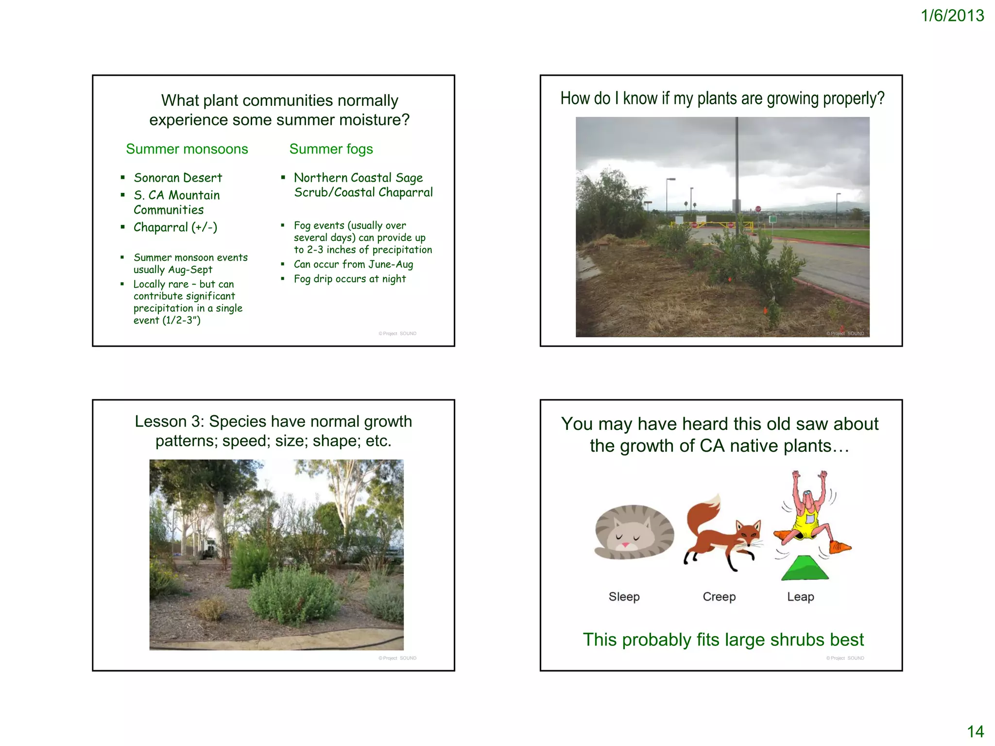 1/6/2013




       What plant communities normally                              How do I know if my plants are growing properly?
      experience some summer moisture?
 Summer monsoons               Summer fogs
 Sonoran Desert               Northern Coastal Sage
 S. CA Mountain                Scrub/Coastal Chaparral
  Communities
 Chaparral (+/-)              Fog events (usually over
                                several days) can provide up
                                to 2-3 inches of precipitation
 Summer monsoon events
                               Can occur from June-Aug
  usually Aug-Sept
                               Fog drip occurs at night
 Locally rare – but can
  contribute significant
  precipitation in a single
  event (1/2-3”)
                                                  © Project SOUND                                          © Project SOUND




   Lesson 3: Species have normal growth                             You may have heard this old saw about
     patterns; speed; size; shape; etc.                                the growth of CA native plants…




                                                                       This probably fits large shrubs best
                                                  © Project SOUND                                          © Project SOUND




                                                                                                                                  14
 