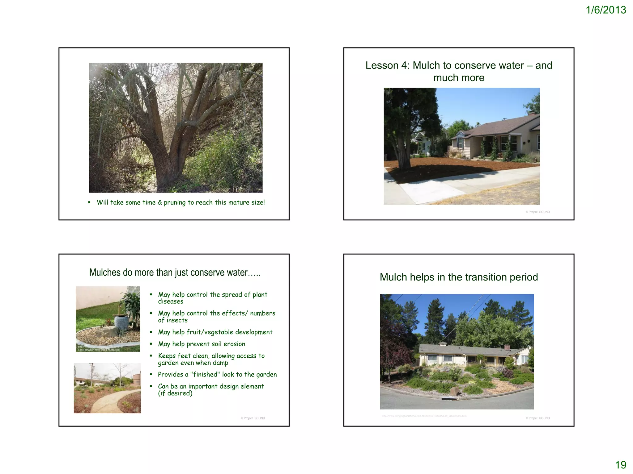 1/6/2013




                                                                                     Lesson 4: Mulch to conserve water – and
                                                                                                   much more




        Will take some time & pruning to reach this mature size!
                                                                                                                                                                 © Project SOUND




        Mulches do more than just conserve water…..                                    Mulch helps in the transition period
                                      May help control the spread of plant
                                       diseases
                                      May help control the effects/ numbers
                                       of insects
                                      May help fruit/vegetable development

http://www.ehow.com/how_2354262_ch
                                      May help prevent soil erosion
oose-between-rock-wood-mulch.html

                                      Keeps feet clean, allowing access to
                                       garden even when damp
                                      Provides a "finished" look to the garden
                                      Can be an important design element
                                       (if desired)


                                                                                        http://www.bringingbackthenatives.net/slides/Rosenbaum_2009/index.html
                                                                   © Project SOUND                                                                               © Project SOUND




                                                                                                                                                                                        19
 