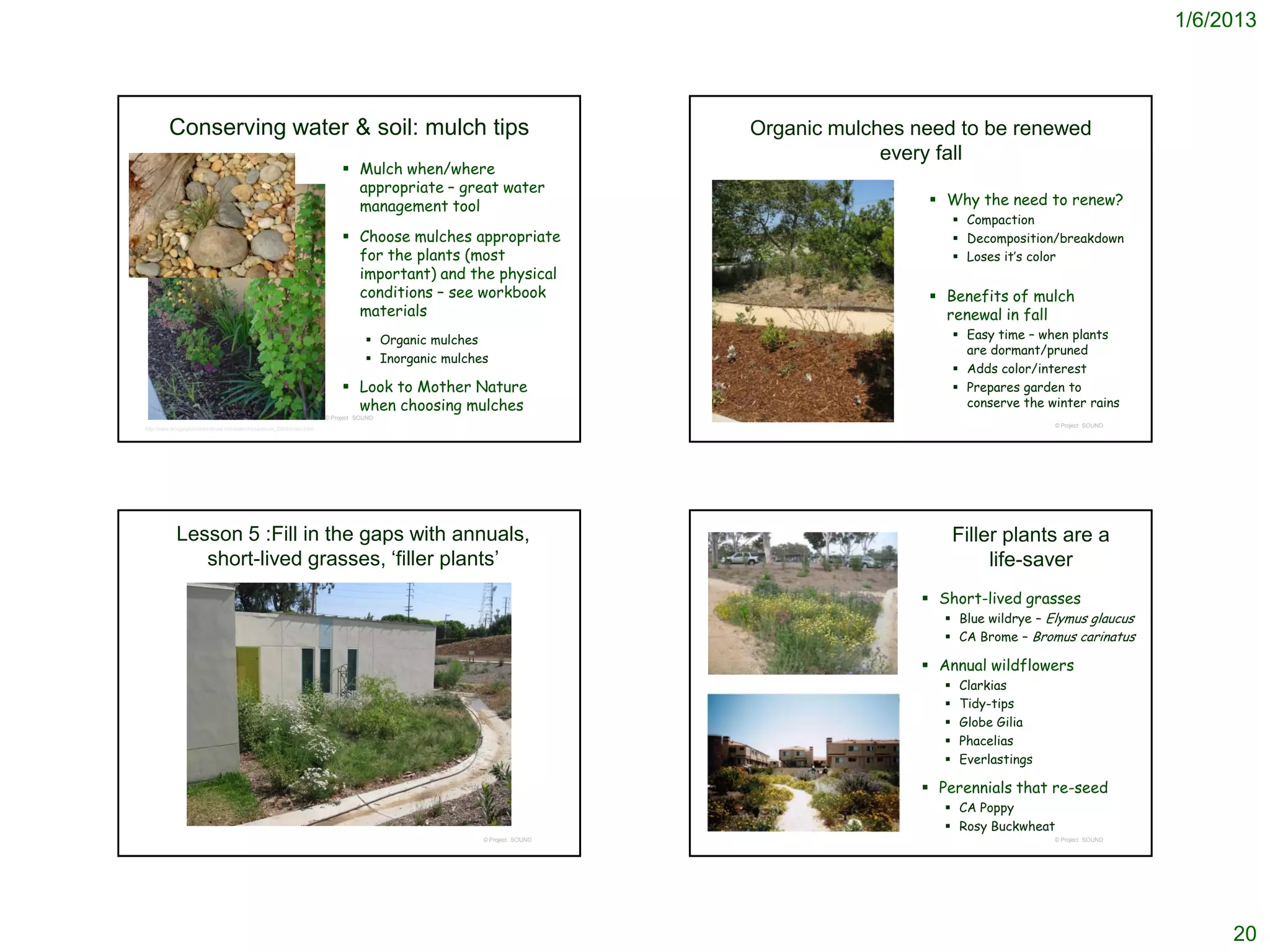 1/6/2013




         Conserving water & soil: mulch tips                                                                             Organic mulches need to be renewed
                                                                                                                                      every fall
                                                                               Mulch when/where
                                                                                appropriate – great water
                                                                                management tool                                             Why the need to renew?
                                                                                                                                                  Compaction
                                                                               Choose mulches appropriate                                        Decomposition/breakdown
                                                                                for the plants (most                                              Loses it’s color
                                                                                important) and the physical
                                                                                conditions – see workbook                                   Benefits of mulch
                                                                                materials                                                    renewal in fall
                                                                                      Organic mulches                                            Easy time – when plants
                                                                                                                                                   are dormant/pruned
                                                                                      Inorganic mulches
                                                                                                                                                  Adds color/interest
                                                                               Look to Mother Nature                                             Prepares garden to
                                                                                when choosing mulches                                              conserve the winter rains
                                                                         © Project SOUND
                                                                                                                                                                 © Project SOUND
http://www.bringingbackthenatives.net/slides/Kasameyer_2009/index.html




            Lesson 5 :Fill in the gaps with annuals,                                                                                             Filler plants are a
               short-lived grasses, ‘filler plants’                                                                                                   life-saver
                                                                                                                                           Short-lived grasses
                                                                                                                                              Blue wildrye – Elymus glaucus
                                                                                                                                              CA Brome – Bromus carinatus

                                                                                                                                           Annual wildflowers
                                                                                                                                                 Clarkias
                                                                                                                                                 Tidy-tips
                                                                                                                                                 Globe Gilia
                                                                                                                                                 Phacelias
                                                                                                                                                 Everlastings

                                                                                                                                           Perennials that re-seed
                                                                                                                                              CA Poppy
                                                                                                                                              Rosy Buckwheat
                                                                                                       © Project SOUND                                           © Project SOUND




                                                                                                                                                                                        20
 