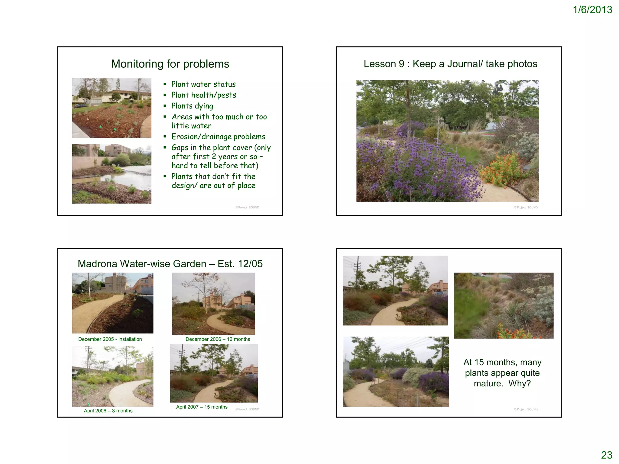 1/6/2013




              Monitoring for problems                                         Lesson 9 : Keep a Journal/ take photos
                                Plant water status
                                Plant health/pests
                                Plants dying
                                Areas with too much or too
                                 little water
                                Erosion/drainage problems
                                Gaps in the plant cover (only
                                 after first 2 years or so –
                                 hard to tell before that)
                                Plants that don’t fit the
                                 design/ are out of place

                                                            © Project SOUND                                    © Project SOUND




Madrona Water-wise Garden – Est. 12/05




December 2005 - installation           December 2006 – 12 months



                                                                                                   At 15 months, many
                                                                                                   plants appear quite
                                                                                                      mature. Why?

                                   April 2007 – 15 months
  April 2006 – 3 months                                     © Project SOUND                                    © Project SOUND




                                                                                                                                      23
 