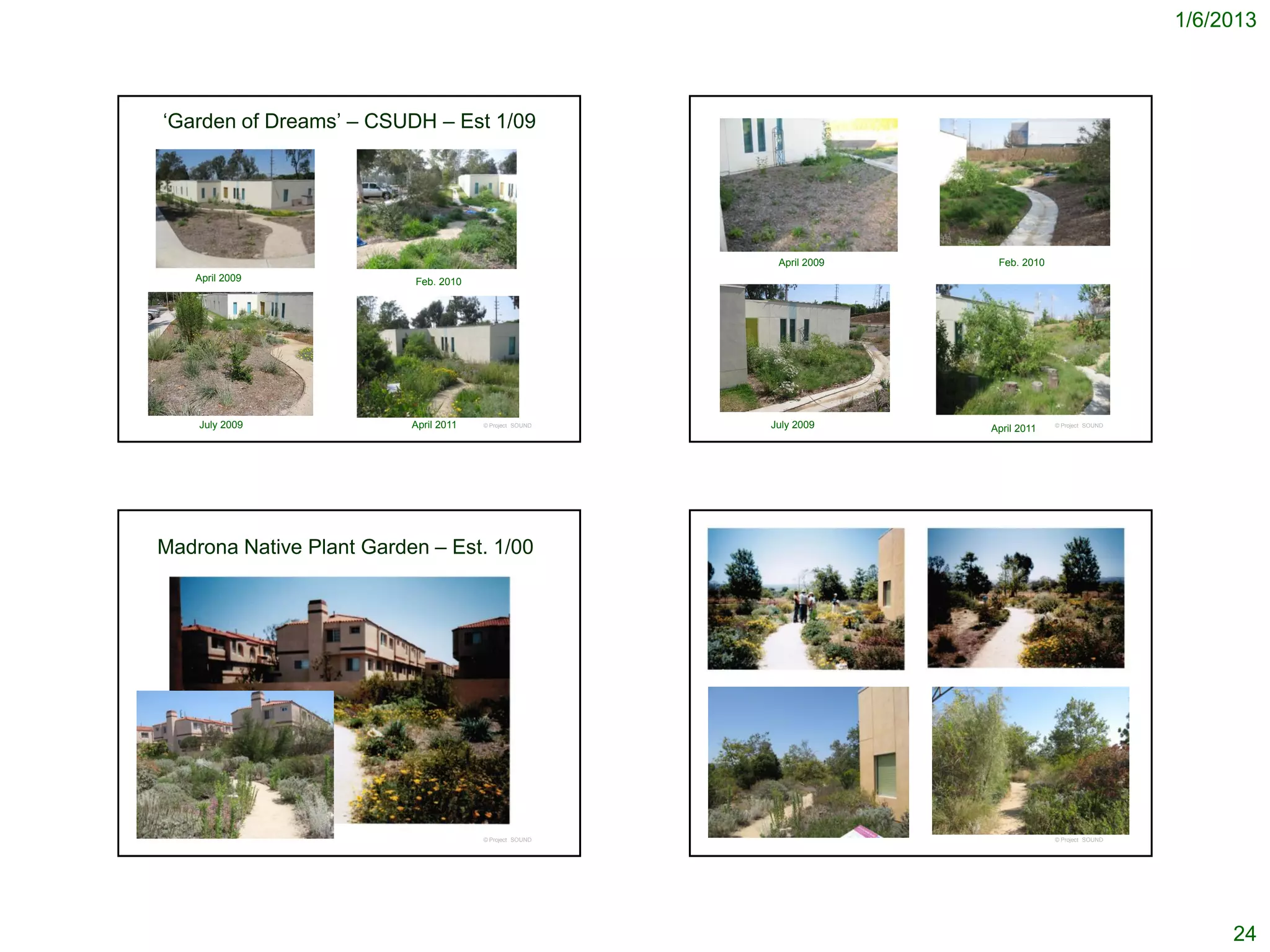 1/6/2013



‘Garden of Dreams’ – CSUDH – Est 1/09




                                                          April 2009    Feb. 2010
   April 2009             Feb. 2010




    July 2009             April 2011   © Project SOUND   July 2009     April 2011   © Project SOUND




Madrona Native Plant Garden – Est. 1/00




                                       © Project SOUND                              © Project SOUND




                                                                                                           24
 