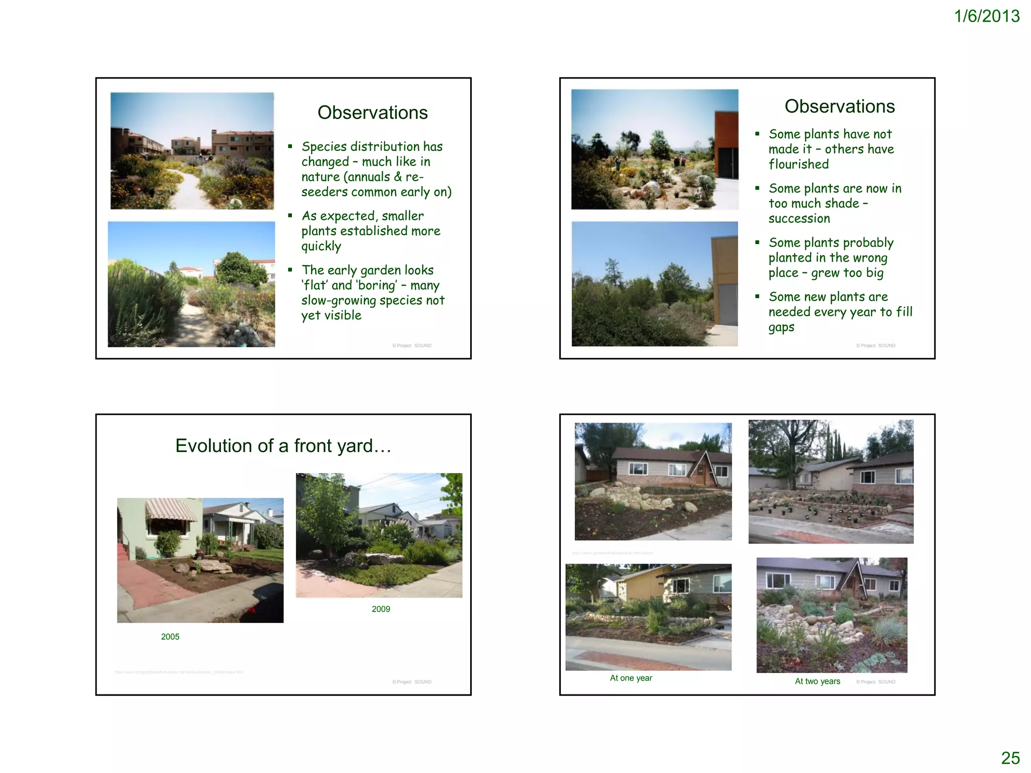 1/6/2013




                                                                           Observations                                                                         Observations
                                                                                                                                                            Some plants have not
                                                                       Species distribution has                                                             made it – others have
                                                                        changed – much like in                                                               flourished
                                                                        nature (annuals & re-
                                                                        seeders common early on)                                                            Some plants are now in
                                                                                                                                                             too much shade –
                                                                       As expected, smaller                                                                 succession
                                                                        plants established more
                                                                        quickly                                                                             Some plants probably
                                                                                                                                                             planted in the wrong
                                                                       The early garden looks                                                               place – grew too big
                                                                        ‘flat’ and ‘boring’ – many
                                                                        slow-growing species not                                                            Some new plants are
                                                                        yet visible                                                                          needed every year to fill
                                                                                                                                                             gaps
                                                                                            © Project SOUND                                                                     © Project SOUND




                               Evolution of a front yard…




                                                                                                              http://www.gardenofnativeplants.com/about/




                                                                                     2009


                        2005



http://www.bringingbackthenatives.net/slides/Zander_2009/index.html

                                                                                            © Project SOUND
                                                                                                                                 At one year                     At two years   © Project SOUND




                                                                                                                                                                                                       25
 