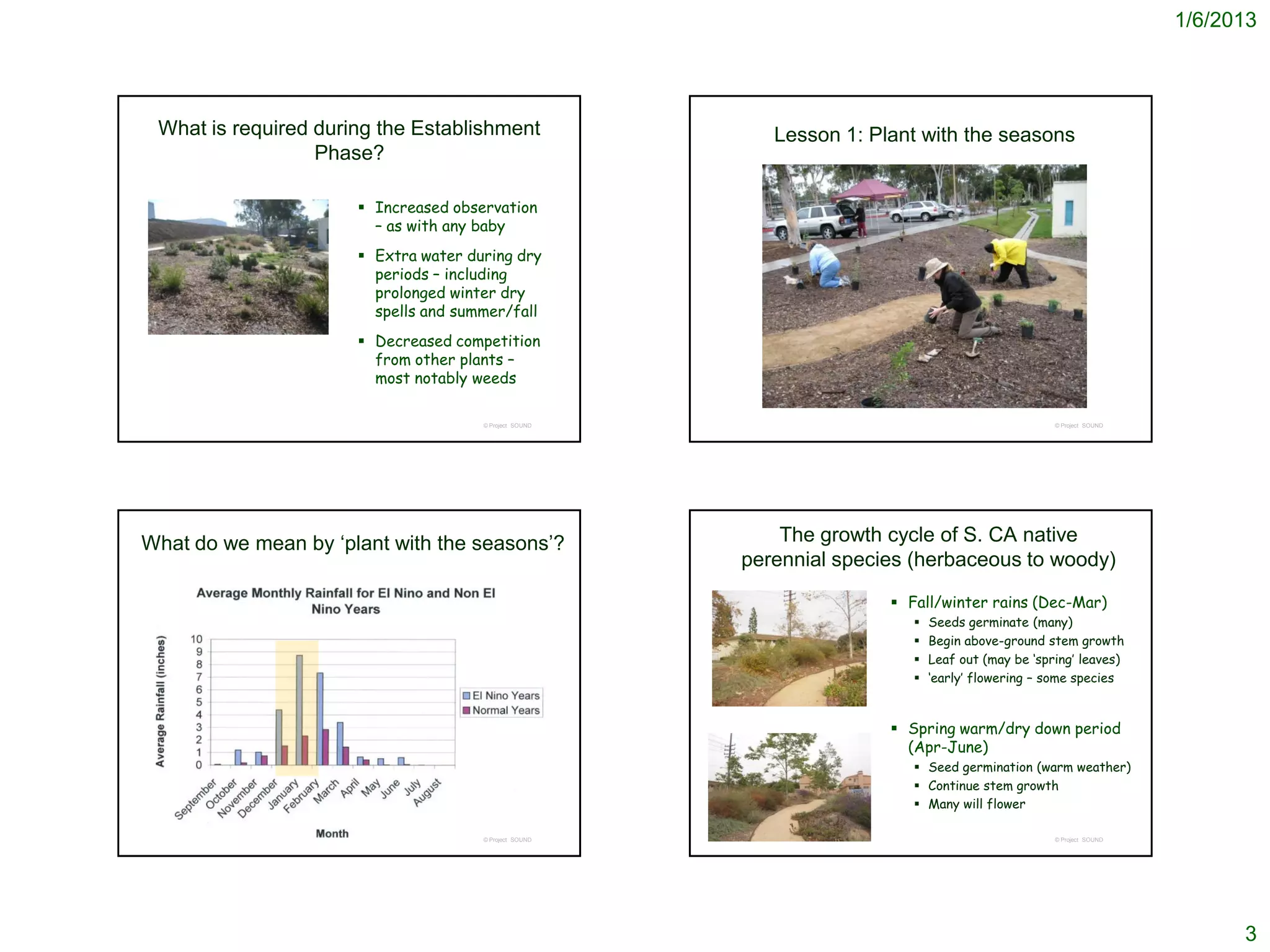 1/6/2013




 What is required during the Establishment                 Lesson 1: Plant with the seasons
                  Phase?

                       Increased observation
                        – as with any baby
                       Extra water during dry
                        periods – including
                        prolonged winter dry
                        spells and summer/fall
                       Decreased competition
                        from other plants –
                        most notably weeds

                                      © Project SOUND                                              © Project SOUND




What do we mean by ‘plant with the seasons’?                The growth cycle of S. CA native
                                                        perennial species (herbaceous to woody)

                                                                        Fall/winter rains (Dec-Mar)
                                                                             Seeds germinate (many)
                                                                             Begin above-ground stem growth
                                                                             Leaf out (may be ‘spring’ leaves)
                                                                             ‘early’ flowering – some species


                                                                        Spring warm/dry down period
                                                                         (Apr-June)
                                                                           Seed germination (warm weather)
                                                                           Continue stem growth
                                                                           Many will flower

                                      © Project SOUND                                              © Project SOUND




                                                                                                                           3
 