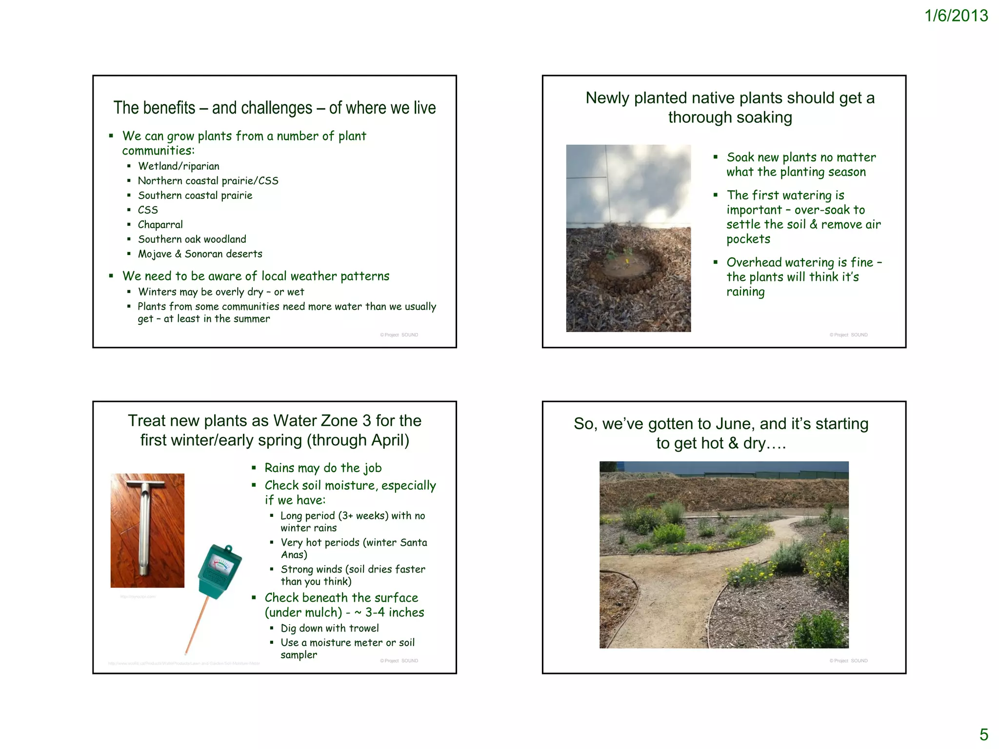 1/6/2013



                                                                                                                                  Newly planted native plants should get a
  The benefits – and challenges – of where we live                                                                                           thorough soaking
 We can grow plants from a number of plant
  communities:
                                                                                                                                                      Soak new plants no matter
              Wetland/riparian
                                                                                                                                                       what the planting season
              Northern coastal prairie/CSS
              Southern coastal prairie                                                                                                               The first watering is
              CSS                                                                                                                                     important – over-soak to
              Chaparral                                                                                                                               settle the soil & remove air
              Southern oak woodland                                                                                                                   pockets
              Mojave & Sonoran deserts
                                                                                                                                                      Overhead watering is fine –
 We need to be aware of local weather patterns                                                                                                        the plants will think it’s
          Winters may be overly dry – or wet                                                                                                          raining
          Plants from some communities need more water than we usually
           get – at least in the summer
                                                                                                               © Project SOUND                                           © Project SOUND




          Treat new plants as Water Zone 3 for the                                                                               So, we’ve gotten to June, and it’s starting
            first winter/early spring (through April)                                                                                       to get hot & dry….
                                                                            Rains may do the job
                                                                            Check soil moisture, especially
                                                                             if we have:
                                                                                    Long period (3+ weeks) with no
                                                                                     winter rains
                                                                                    Very hot periods (winter Santa
                                                                                     Anas)
                                                                                    Strong winds (soil dries faster
                                                                                     than you think)
      http://royrector.com/garden/?p=124
                                                                            Check beneath the surface
                                                                             (under mulch) - ~ 3-4 inches
                                                                                    Dig down with trowel
                                                                                    Use a moisture meter or soil
                                                                                     sampler              © Project SOUND                                                © Project SOUND
http://www.ecofitt.ca/Products/WaterProducts/Lawn-and-Garden/Soil-Moisture-Meter




                                                                                                                                                                                                 5
 