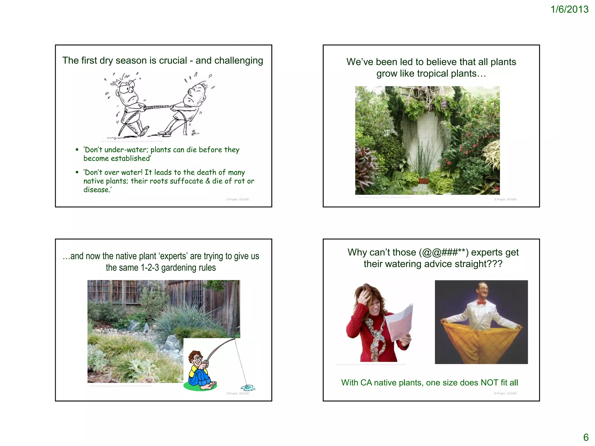 1/6/2013




The first dry season is crucial - and challenging                                                        We’ve been led to believe that all plants
                                                                                                               grow like tropical plants…




                http://dharmaconsulting.com/products/accelerating-change/



    ‘Don’t under-water; plants can die before they
     become established’
    ‘Don’t over water! It leads to the death of many
     native plants; their roots suffocate & die of rot or
     disease.’
                                                                                                                    http://www.kriyayoga.com/love_blog/post.php/950
                                                                            © Project SOUND                                                                               © Project SOUND




…and now the native plant ‘experts’ are trying to give us                                                 Why can’t those (@@###**) experts get
          the same 1-2-3 gardening rules                                                                    their watering advice straight???




                                                                                              http://www.glenbrookenews.com/2009/10/04/home-owners-association-workhop/




       http://kmgardendesign.com/Portfolio-CANativeGarden.htm
                                                                                                   With CA native plants, one size does NOT fit all
                                                                            © Project SOUND                                                                               © Project SOUND




                                                                                                                                                                                                  6
 