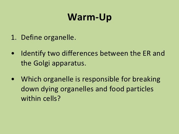 Aug. 24(plant vs. animal cells)