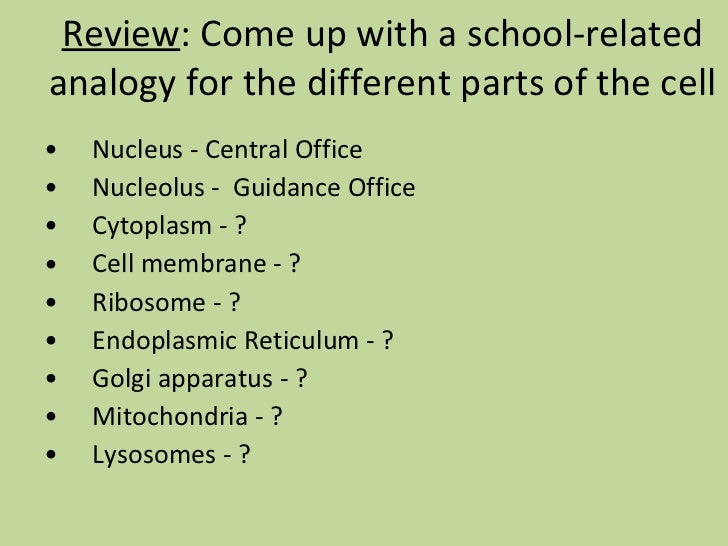 cytoplasm analogy
