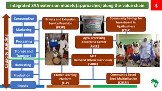 Improving Food Systems through Agriculture Transformation in Africa