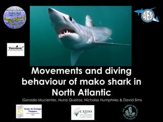Movements and diving
behaviour of mako shark in
      North Atlantic
Gonzalo Mucientes, Nuno Queiroz, Nicholas Humphries & David Sims
 