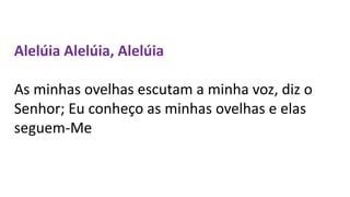 Alelúia Alelúia, Alelúia
As minhas ovelhas escutam a minha voz, diz o
Senhor; Eu conheço as minhas ovelhas e elas
seguem-Me
 