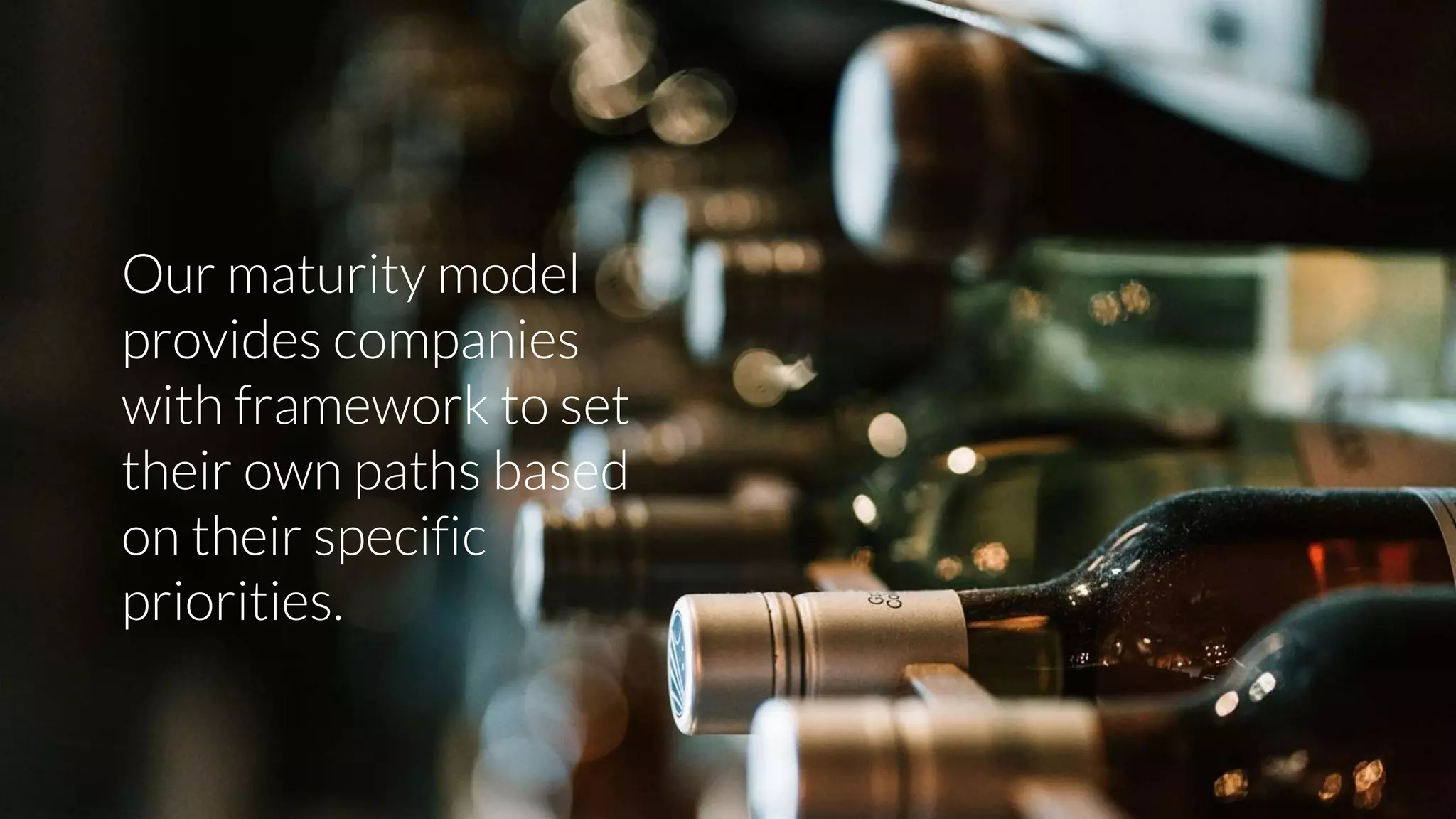 Our maturity model
provides companies
with framework to set
their own paths based
on their specific
priorities.
 