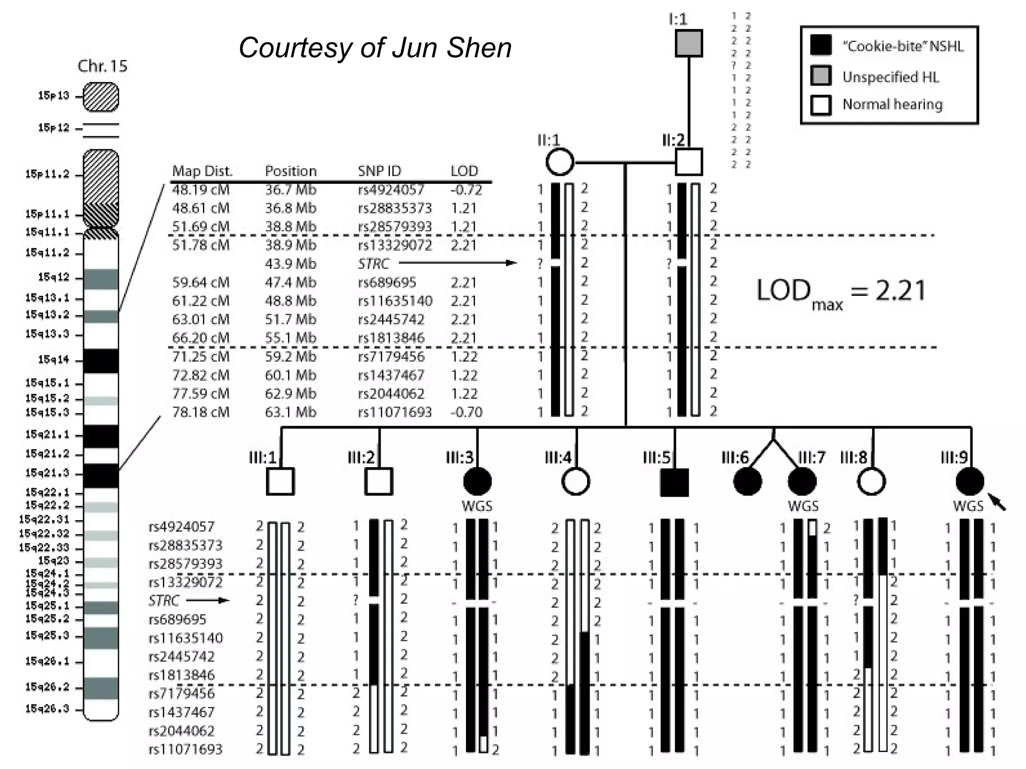 D3S1278 to D3S2453 = chr3:115,124,154-136,278,257 (3q13.31-22.3, 21 Mb)
Courtesy of Jun Shen
 