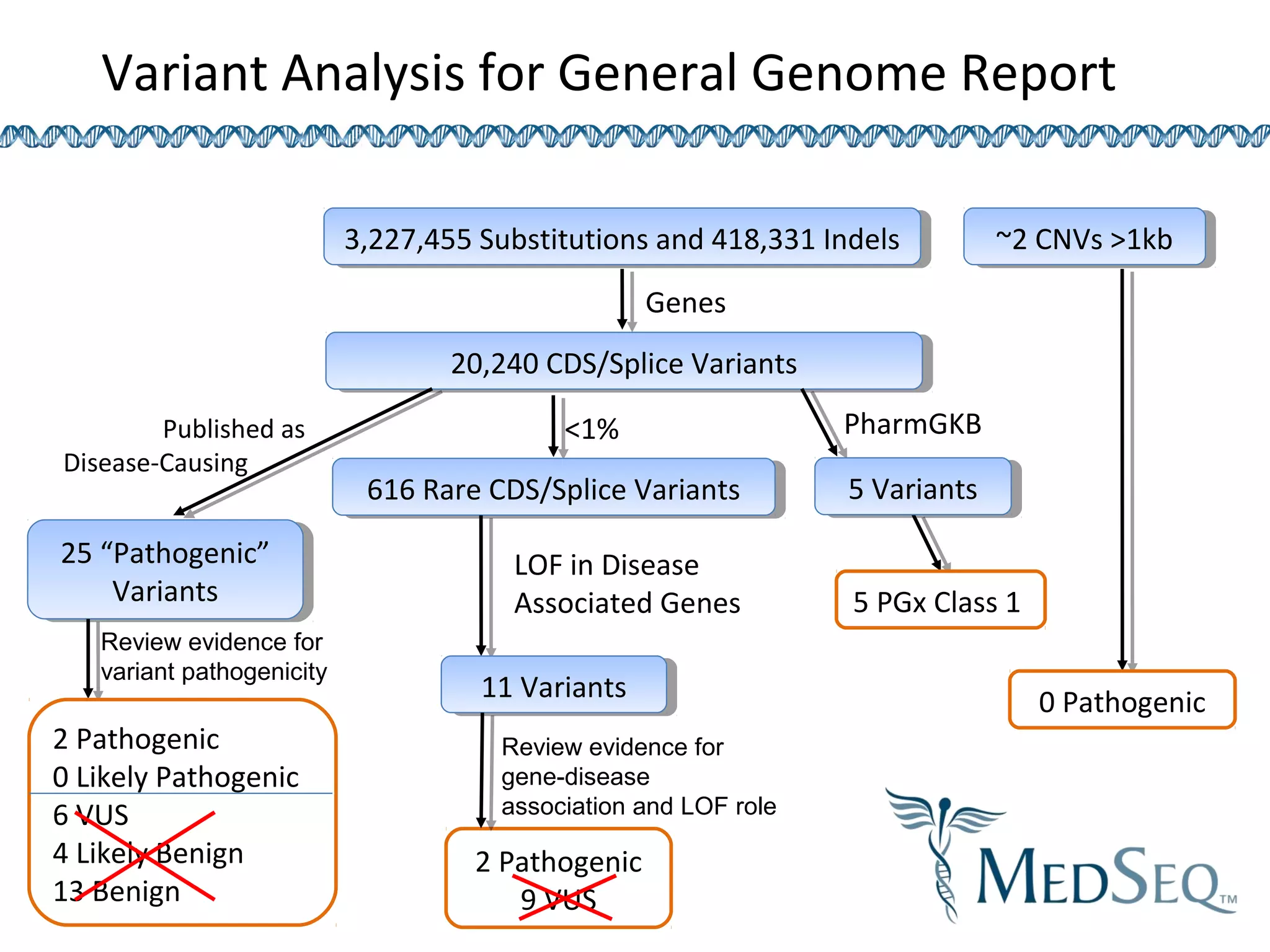 Variant Analysis for General Genome Report
3,227,455 Substitutions and 418,331 Indels3,227,455 Substitutions and 418,331 Indels
20,240 CDS/Splice Variants20,240 CDS/Splice Variants
25 “Pathogenic”
Variants
25 “Pathogenic”
Variants
Published as
Disease-Causing
Genes
5 PGx Class 1
5 Variants5 Variants
PharmGKB
2 Pathogenic
0 Likely Pathogenic
6 VUS
4 Likely Benign
13 Benign
<1%
616 Rare CDS/Splice Variants616 Rare CDS/Splice Variants
LOF in Disease
Associated Genes
2 Pathogenic
9 VUS
11 Variants11 Variants
~2 CNVs >1kb~2 CNVs >1kb
0 Pathogenic
Review evidence for
gene-disease
association and LOF role
Review evidence for
variant pathogenicity
 