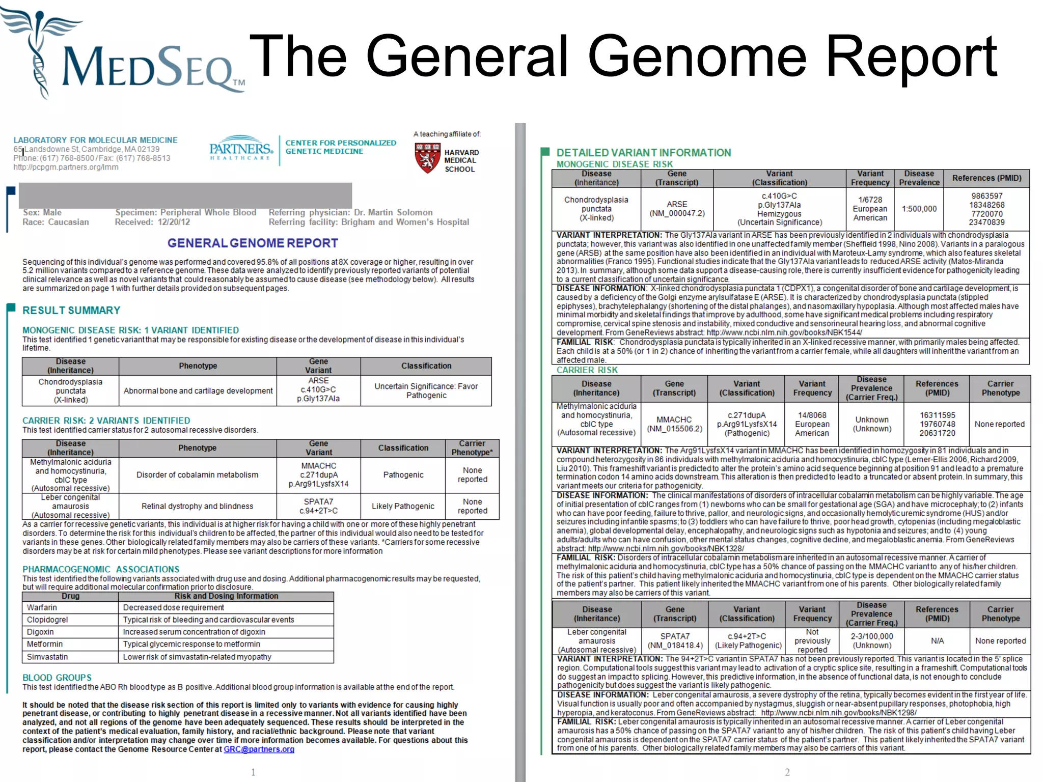 The General Genome Report
 