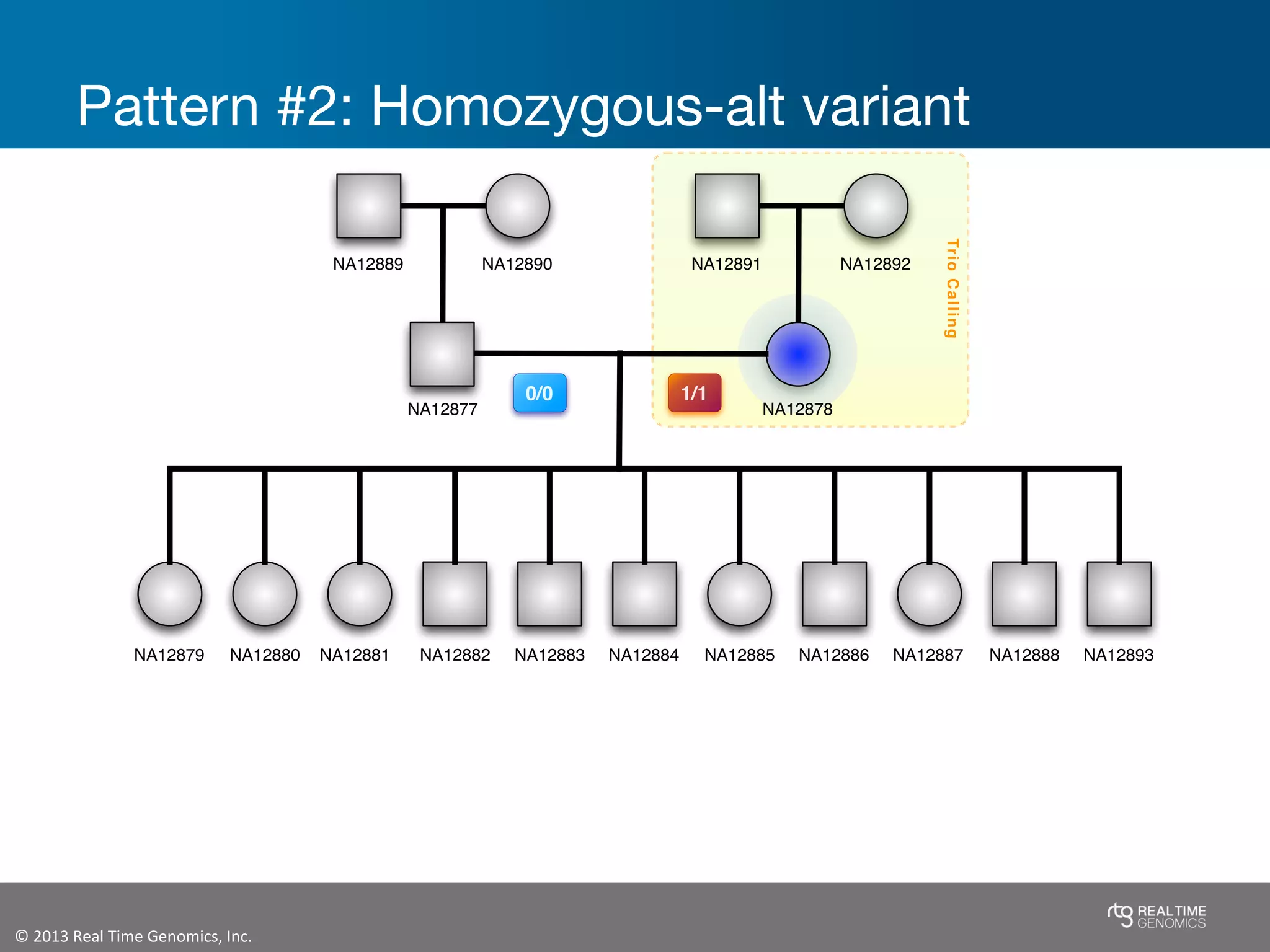 ©	
  2013	
  Real	
  Time	
  Genomics,	
  Inc.	
  	
  
Pattern #2: Homozygous-alt variant
TrioCalling
NA12878
NA12892NA12891
NA12877
NA12889 NA12890
NA12879 NA12880 NA12881 NA12882 NA12883 NA12884 NA12885 NA12886 NA12887 NA12888 NA12893
0/1
1/10/0
0/1 0/1 0/10/10/10/1 0/1 0/1 0/1 0/1
	
  	
  
 