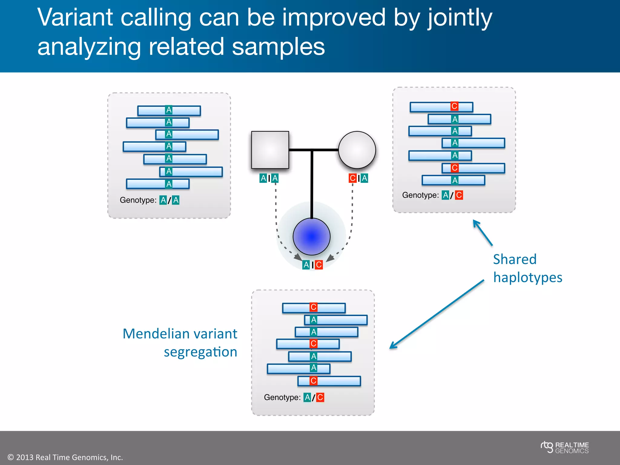 ©	
  2013	
  Real	
  Time	
  Genomics,	
  Inc.	
  	
  
C
AA
A
A
A
A
A
A
A
A
A
A
A A/Genotype:
A A
CA
C
C
A
A
A
A
A /Genotype: C
C
A /Genotype:
AC
C
C
|
||
Variant calling can be improved by jointly
analyzing related samples
Mendelian	
  variant	
  
segregaJon	
  
Shared	
  
haplotypes	
  
 