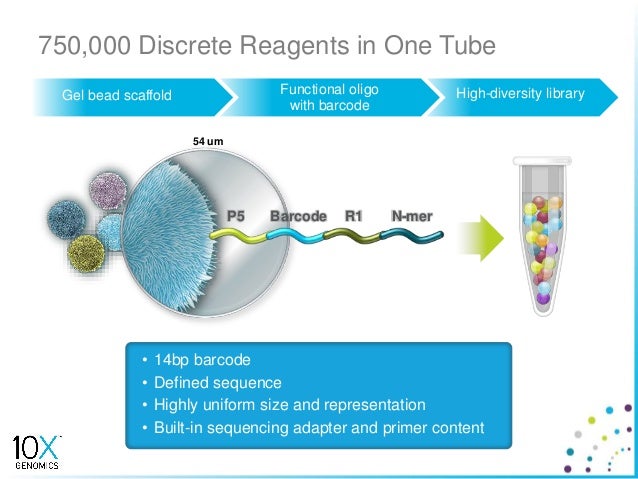 10x genomics