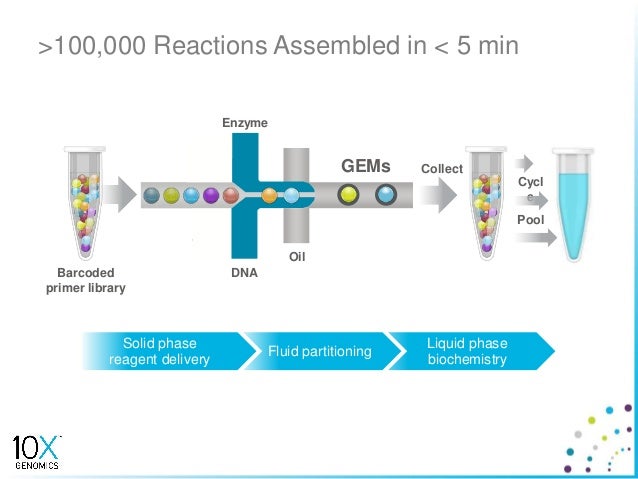 10x genomics
