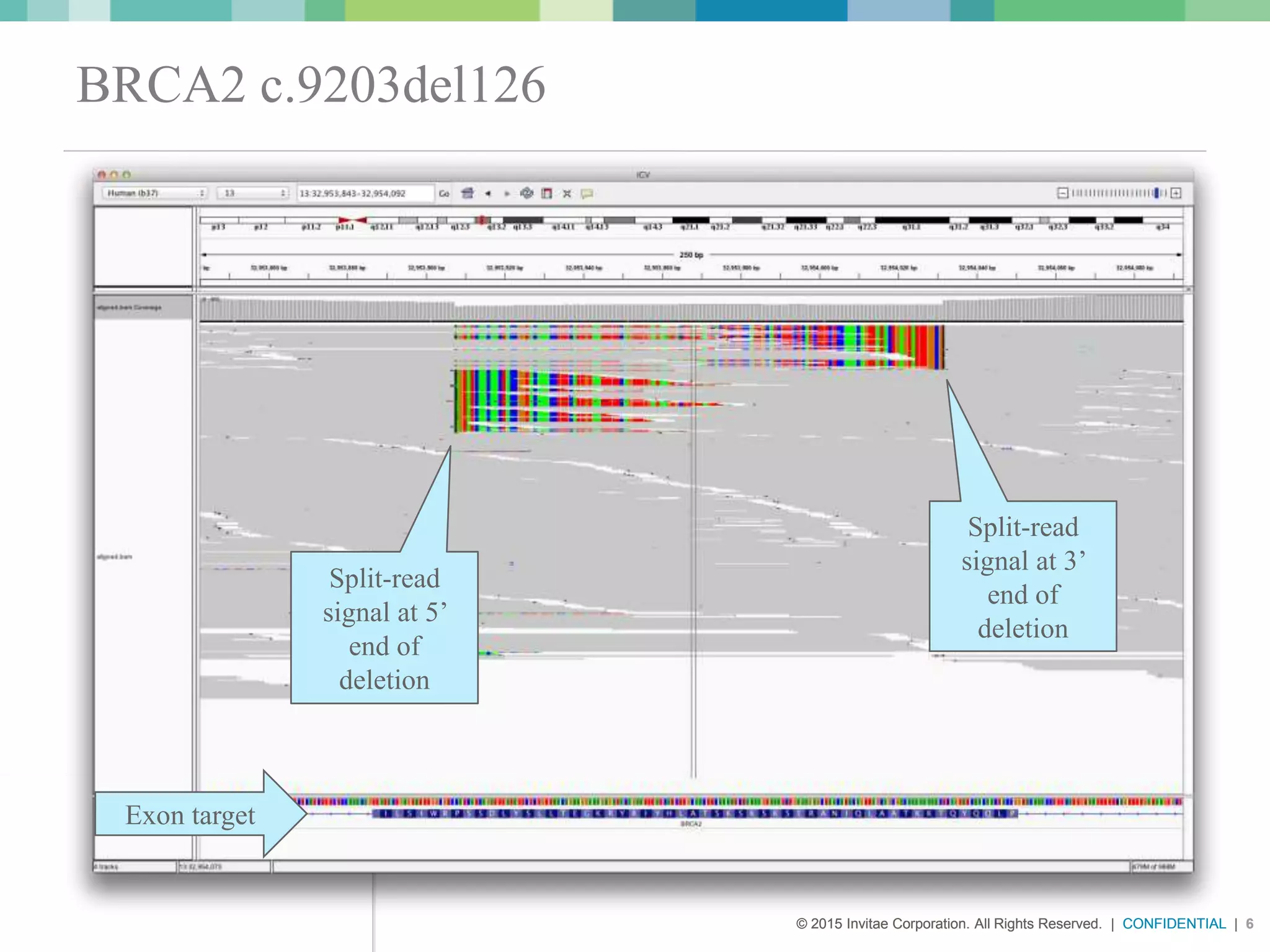 © 2015 Invitae Corporation. All Rights Reserved. | CONFIDENTIAL | 6© 2015 Invitae Corporation. All Rights Reserved. | CONFIDENTIAL | 6
BRCA2 c.9203del126
Split-read
signal at 3’
end of
deletion
Split-read
signal at 5’
end of
deletion
Exon target
 