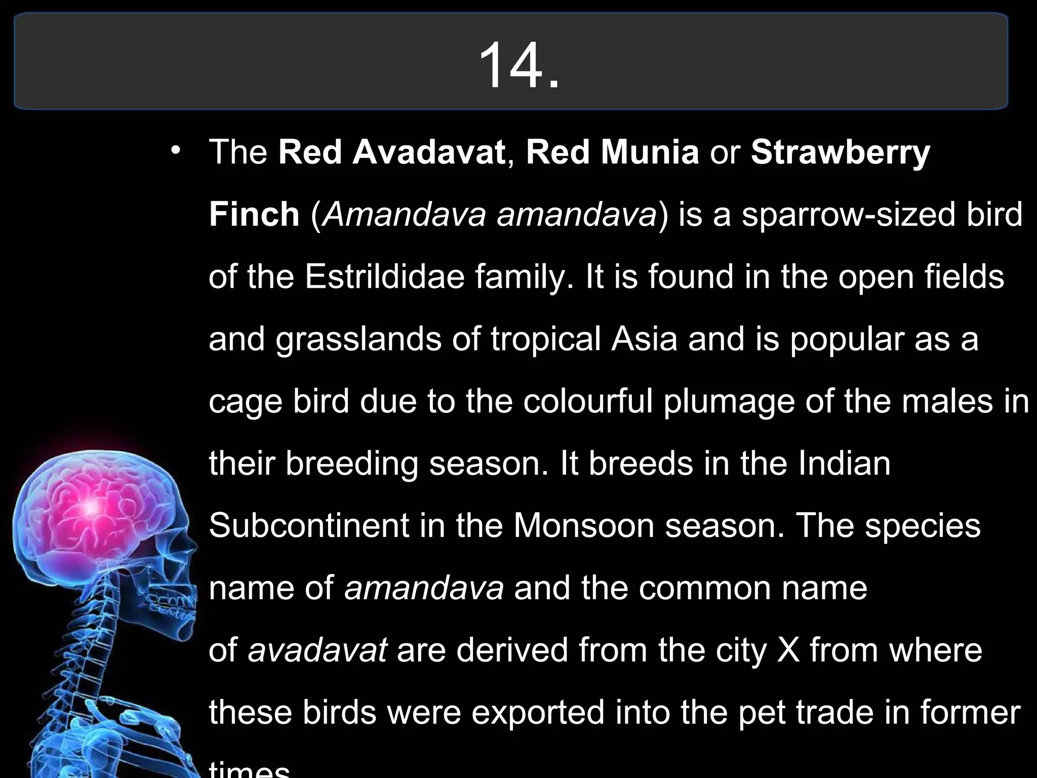 14.
• The Red Avadavat, Red Munia or Strawberry
Finch (Amandava amandava) is a sparrow-sized bird
of the Estrildidae family. It is found in the open fields
and grasslands of tropical Asia and is popular as a
cage bird due to the colourful plumage of the males in
their breeding season. It breeds in the Indian
Subcontinent in the Monsoon season. The species
name of amandava and the common name
of avadavat are derived from the city X from where
these birds were exported into the pet trade in former
 