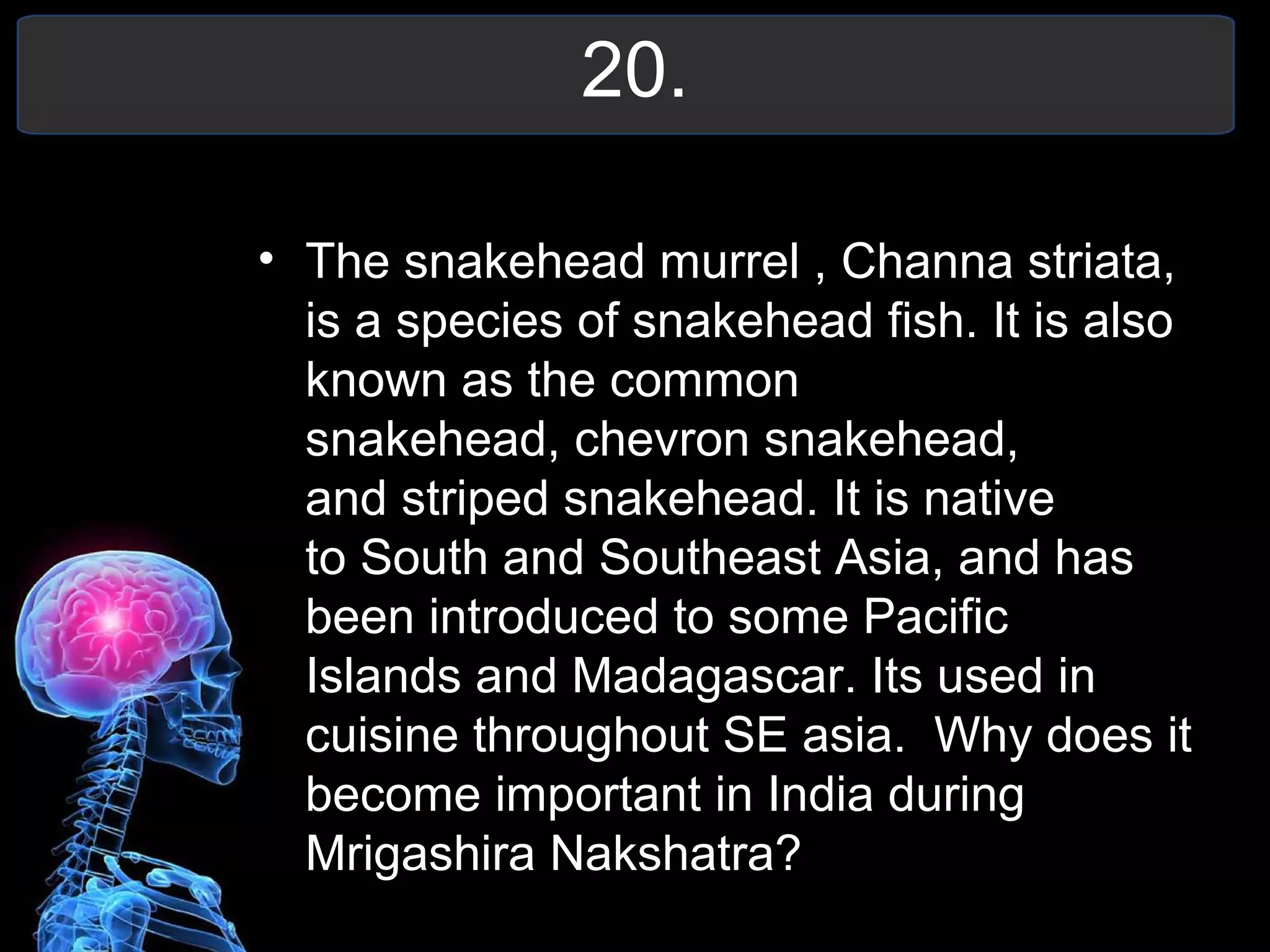 20.
• The snakehead murrel , Channa striata,
is a species of snakehead fish. It is also
known as the common
snakehead, chevron snakehead,
and striped snakehead. It is native
to South and Southeast Asia, and has
been introduced to some Pacific
Islands and Madagascar. Its used in
cuisine throughout SE asia. Why does it
become important in India during
Mrigashira Nakshatra?
 