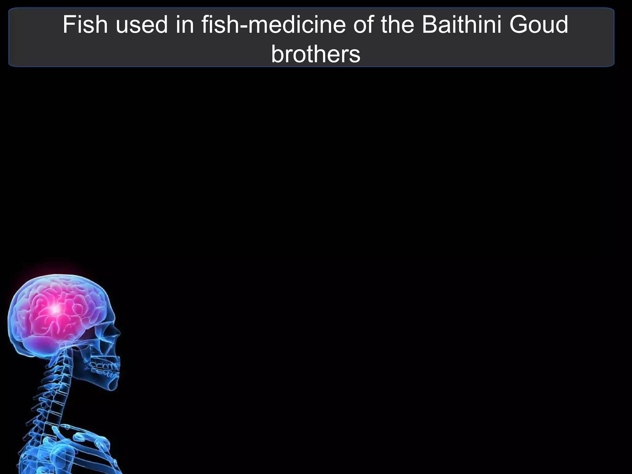 Fish used in fish-medicine of the Baithini Goud
brothers
 
