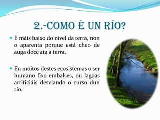 2.-Como é un río?
 É máis baixo do nivel da terra, non

o aparenta porque está cheo de
auga doce ata a terra.
 En moitos destes ecosistemas o ser

humano fixo embalses, ou lagoas
artificiáis desviando o curso dun
río.

 