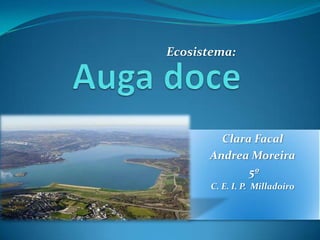 Ecosistema:

Clara Facal
Andrea Moreira
5º
C. E. I. P. Milladoiro

 