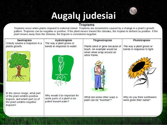 AUGALU FIZIOLOGIJA PDF DOWNLOAD AUGALU FIZIOLOGIJA PDF DOWNLOAD