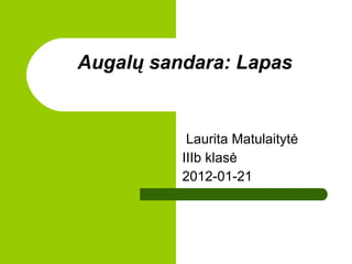 Augal ų sandara: Lapas Laurita Matulaitytė IIIb klasė 2012-01-21 