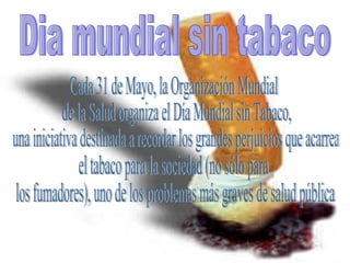 Dia mundial sin tabaco Cada 31 de Mayo, la Organización Mundial de la Salud organiza el Día Mundial sin Tabaco, una iniciativa destinada a recordar los grandes perjuicios que acarrea  el tabaco para la sociedad (no sólo para los fumadores), uno de los problemas más graves de salud pública.  