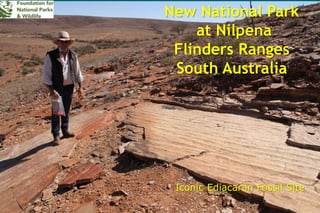 New National Park
at Nilpena
Flinders Ranges
South Australia
Iconic Ediacaran Fossil Site
 